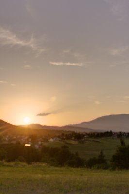 Living in an orange (hum) world 4_4807564432_l.jpg